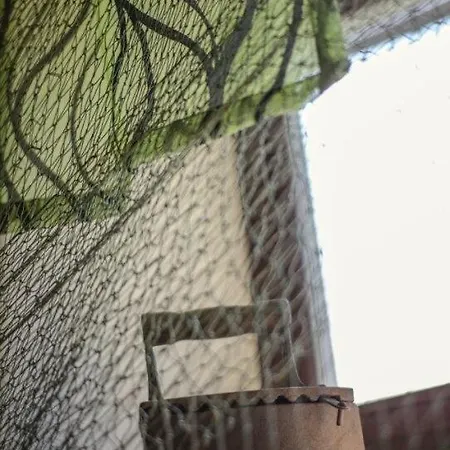 Tedrekuela Kuivati-puhkemaja