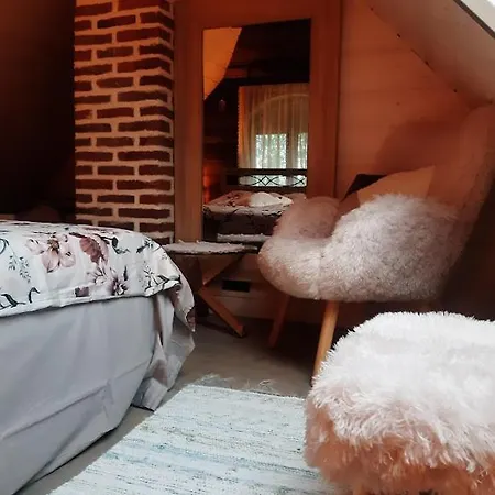 Tedrekuela Kuivati-puhkemaja Paersikivi