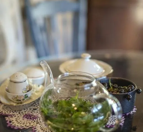 Tedrekuela Kuivati-puhkemaja * Paersikivi