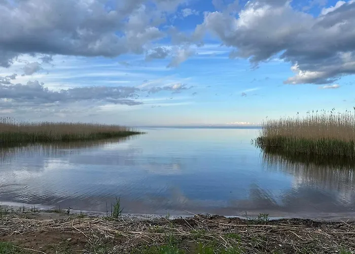 Tedrekuela Kuivati-puhkemaja Villa Paersikivi